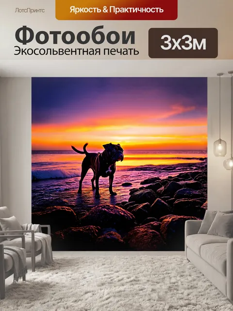 Фотообои мопс, стоящий на прибрежном каменистом пляже на закате, его силуэт контрастирует с яркими красками неба