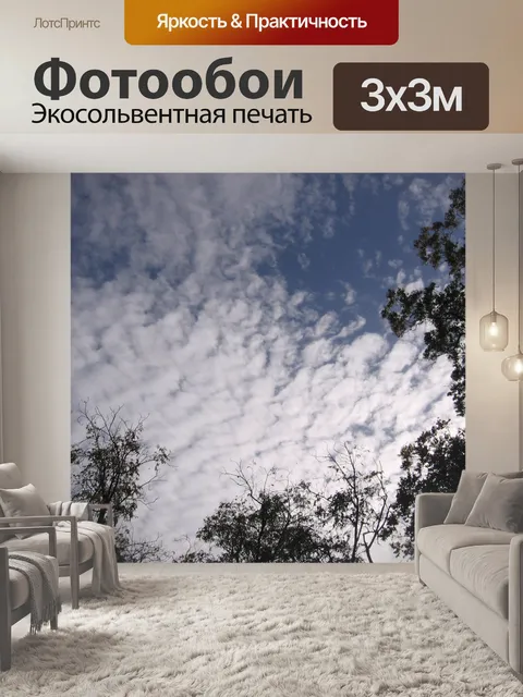 Фотообои Высокие облака и деревья