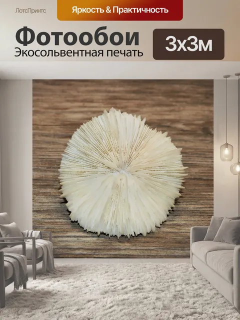 Фотообои Грибной Коралл крупным планом