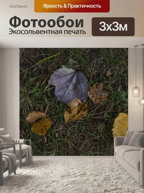 Фотообои Осенние листья в траве