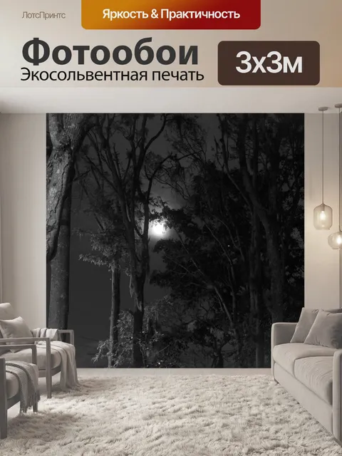 Фотообои Лес в ночь