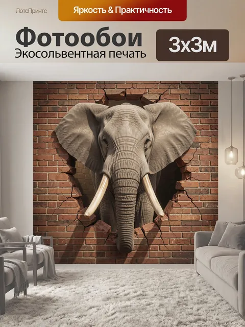 300 × 300 см · Экосольвентная печать