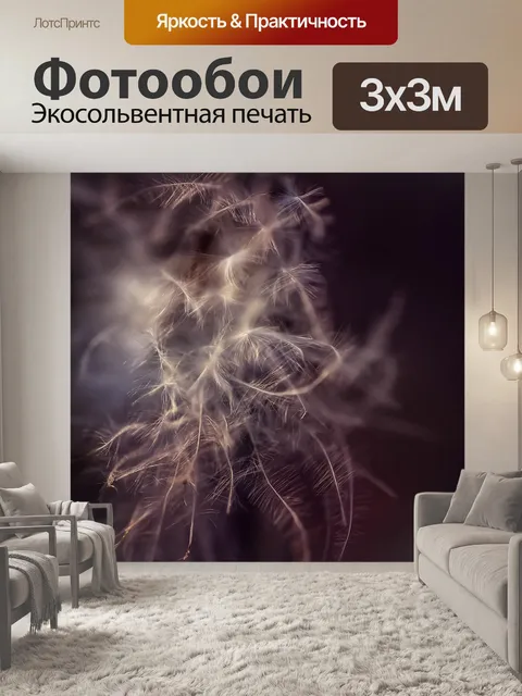 Фотообои Перо