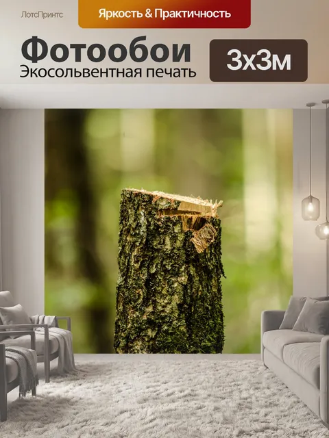 Фотообои Лес