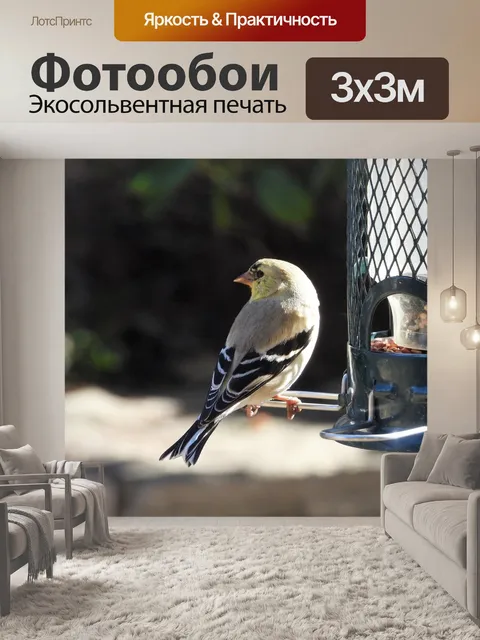 Фотообои Щегол