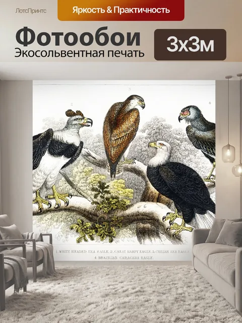 Фотообои Птицы орлы винтаж старый