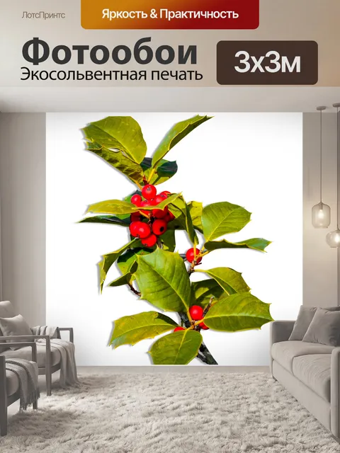 Фотообои Рождественские украшения Холли