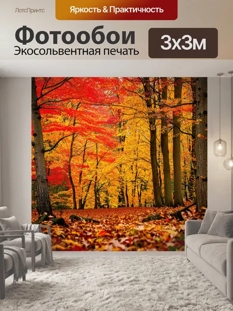 Фотообои с деревьями в осеннем лесу