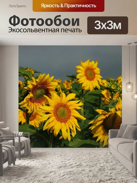 Фотообои Подсолнечник