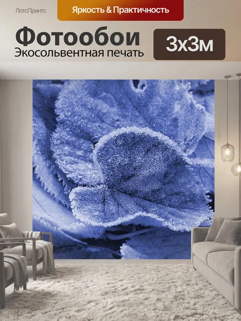 Фотообои Листья липы