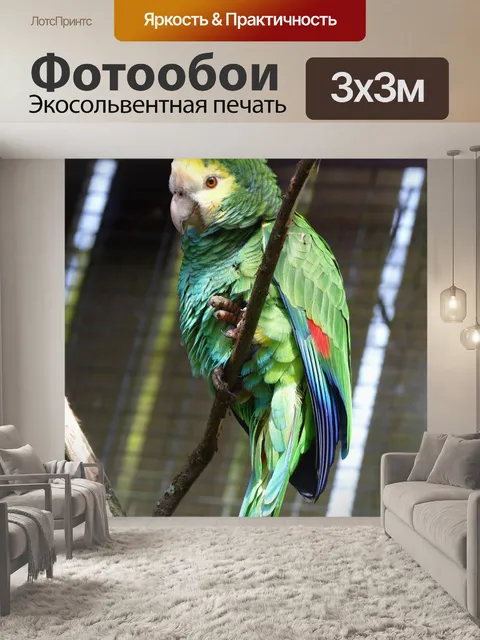 Фотообои Птица