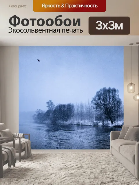 Фотообои Дунай в зимний период