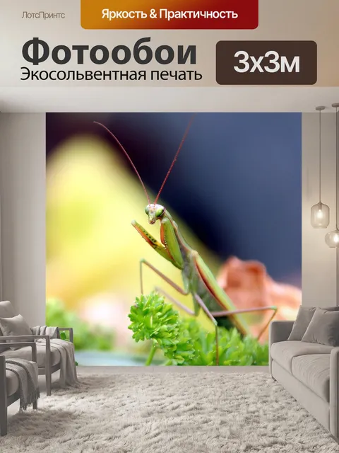 Фотообои Насекомое