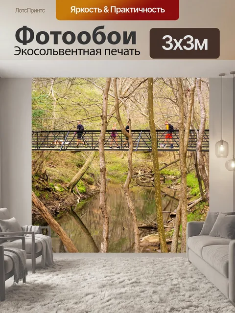 Фотообои Государственный парк запросу