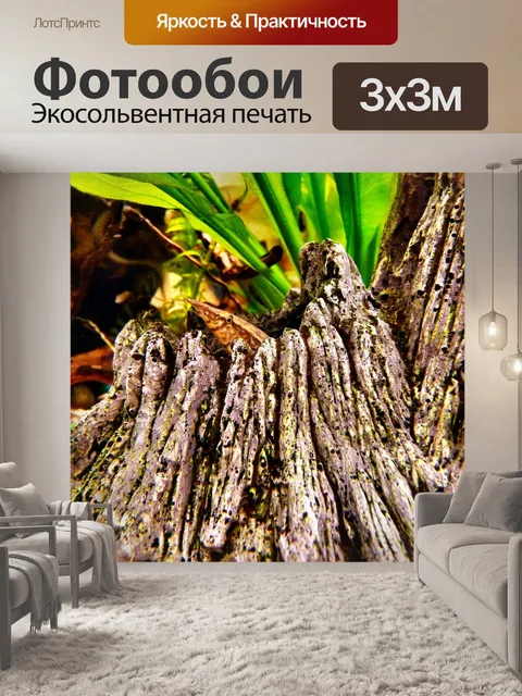 Фотообои Аквариум