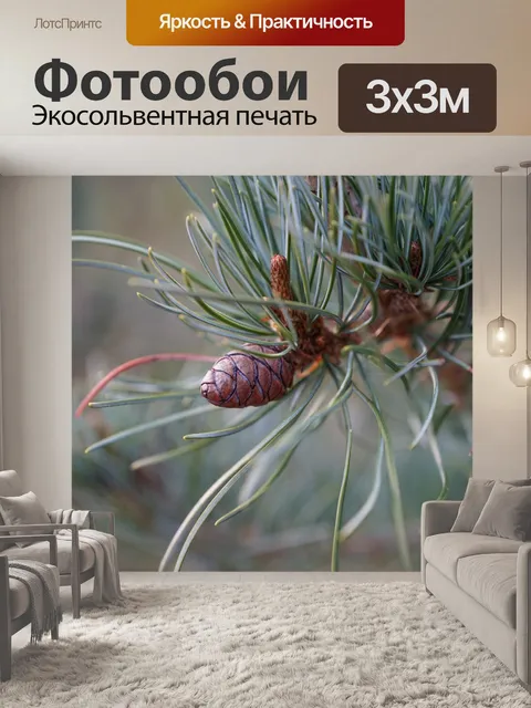 Фотообои Челюсть