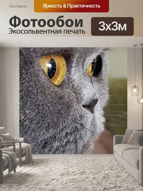 Фотообои Кошка