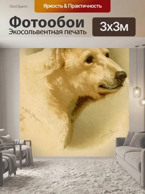 Фотообои Белый медведь Хелена Дж Магуайр