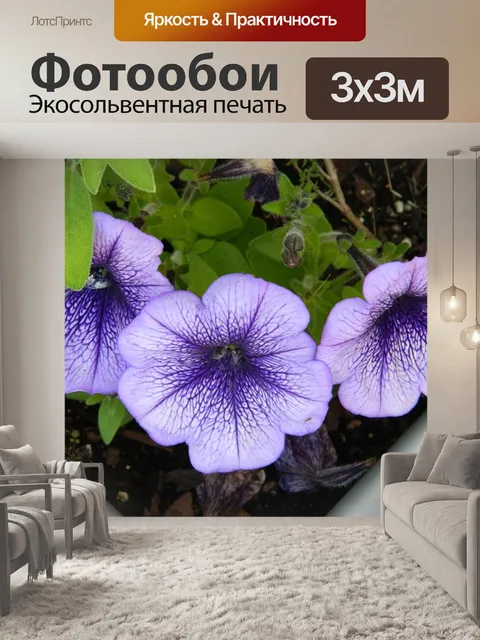 Фотообои Красивый фиолетовый синие цветы