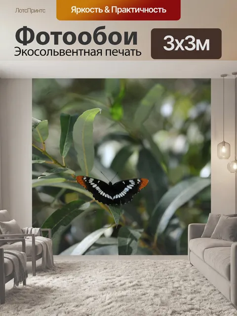 Фотообои Отдых Butterfly # 2