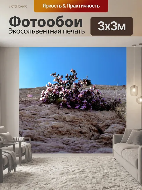 Фотообои Цветок