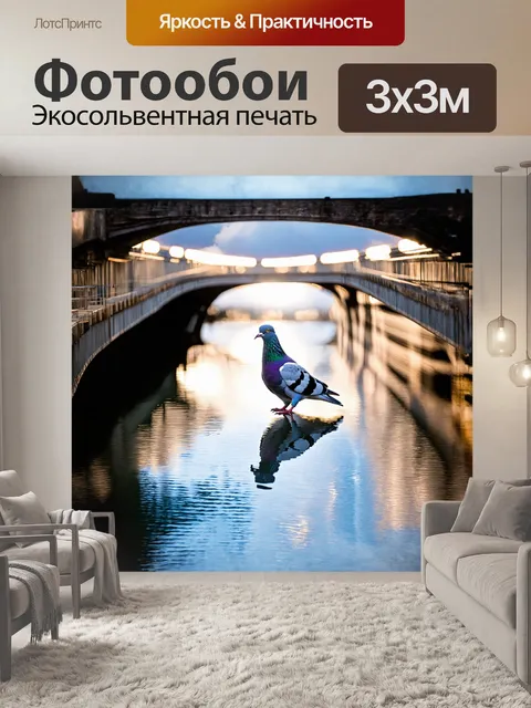 Фотообои голубь, сидящий на мосту, над спокойной водной глади, отражаясь в прозрачной воде