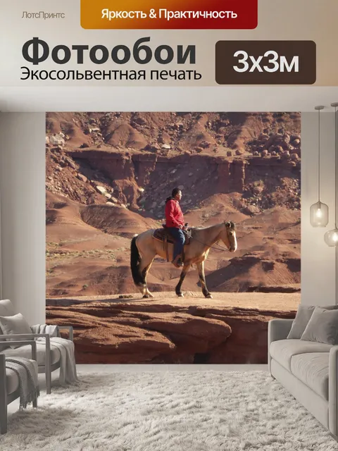Фотообои Американский индеец на коне