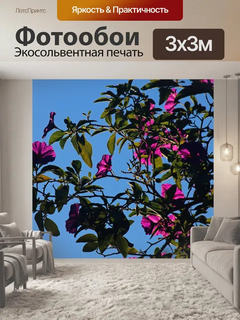 Фотообои фиолетовые цветы куста картофеля