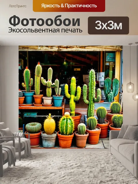Фотообои винтаж показывают кактусы и сувениры на фоне старого магазина