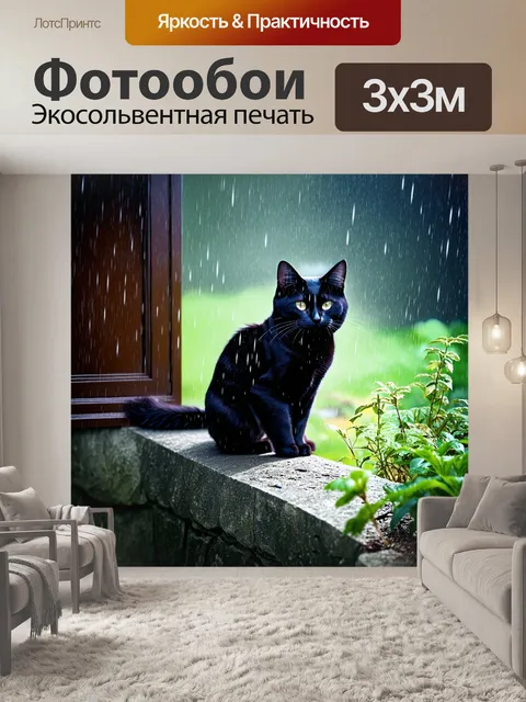 Фотообои кот черного цвета, сидящий на каменной стене под проливным дождем, но его мех остается сухим благодаря…