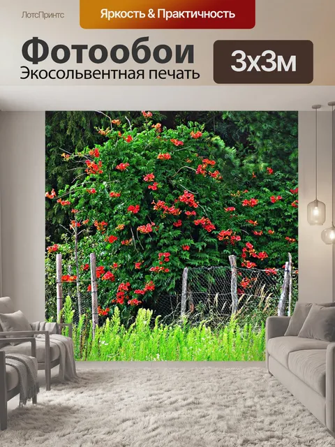 Фотообои Дерево
