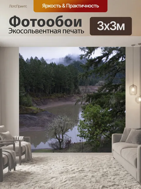 Фотообои Мелководье в лесу