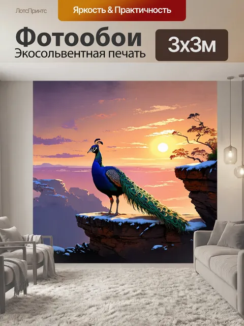 Фотообои павлин, стоящий на краю утеса, величественно смотрит на закат