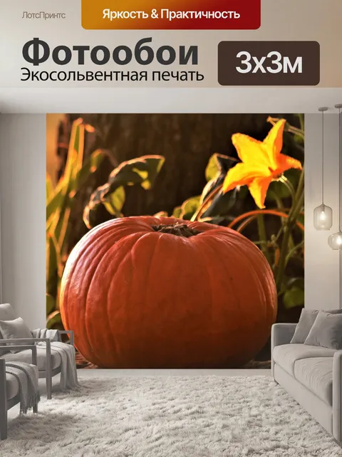 Фотообои Тыква и цветение на рассвете