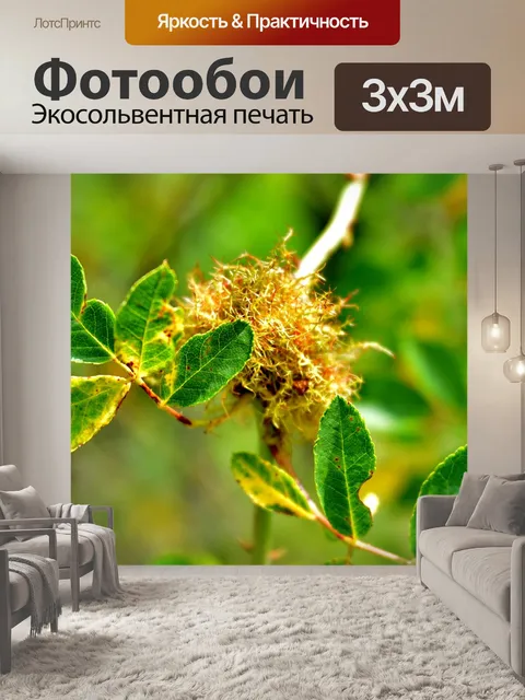 Фотообои Лист