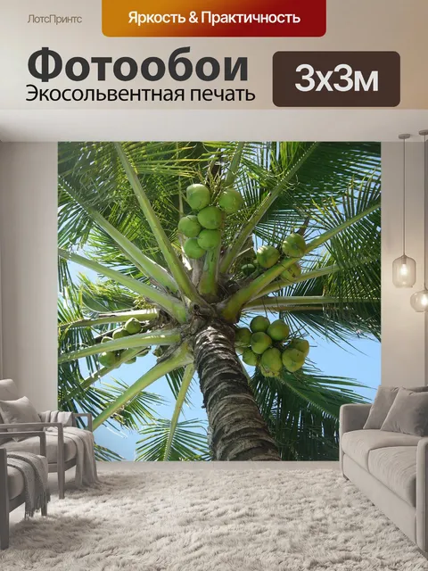 Фотообои Кокос