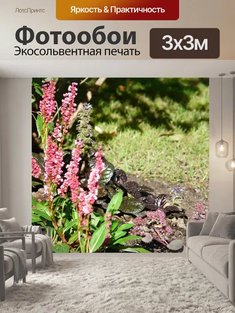 Фотообои Сад
