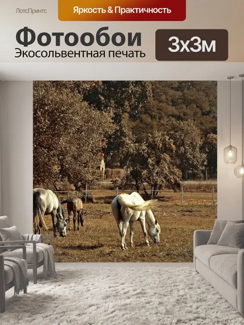 Фотообои Лошади