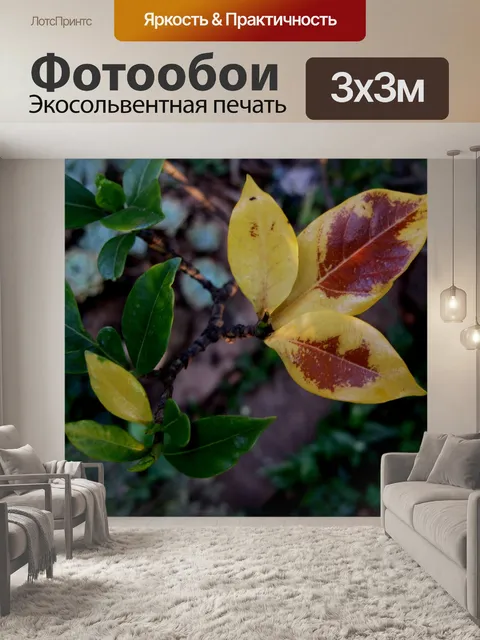 Фотообои желтые листья гардении