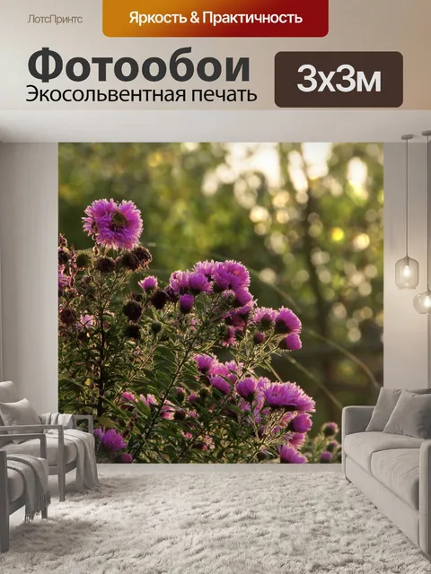 Фотообои Осенние цветы астры капли