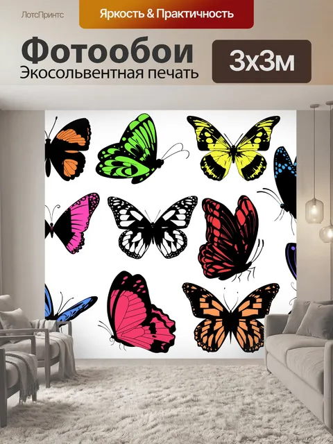 Фотообои бабочка, яркая, цветная