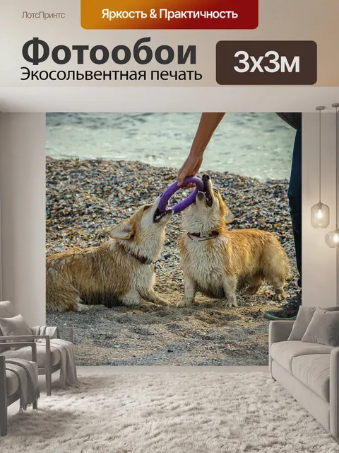 Фотообои Собака