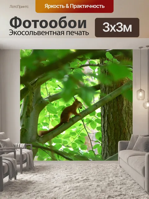 Фотообои Белка
