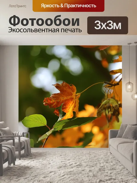 Фотообои Осень