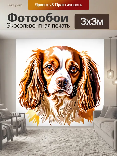 Фотообои изображение головы кавалер кинг чарльз спаниеля с акцентом на его выразительные глаза и длинные