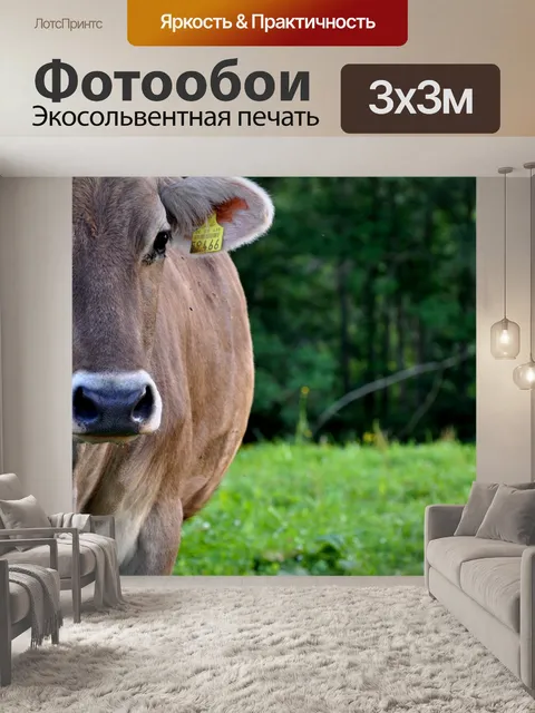 Фотообои Корова