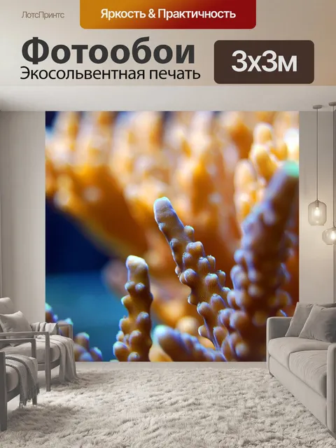 Фотообои Коралл