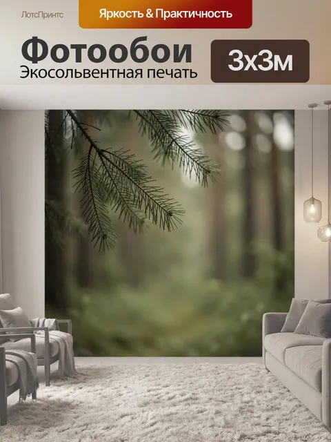 300 × 300 см · Экосольвентная печать