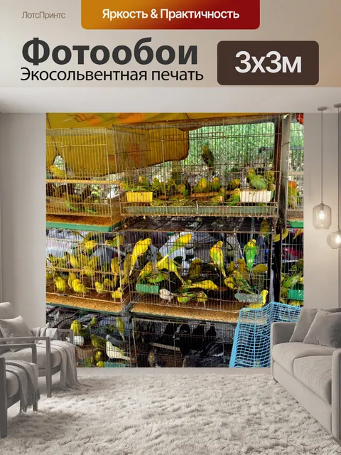 Фотообои Птичий рынок