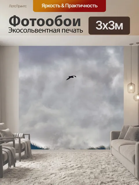 Фотообои Чайка в облачном небе